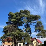 The Pines Boutique Villa